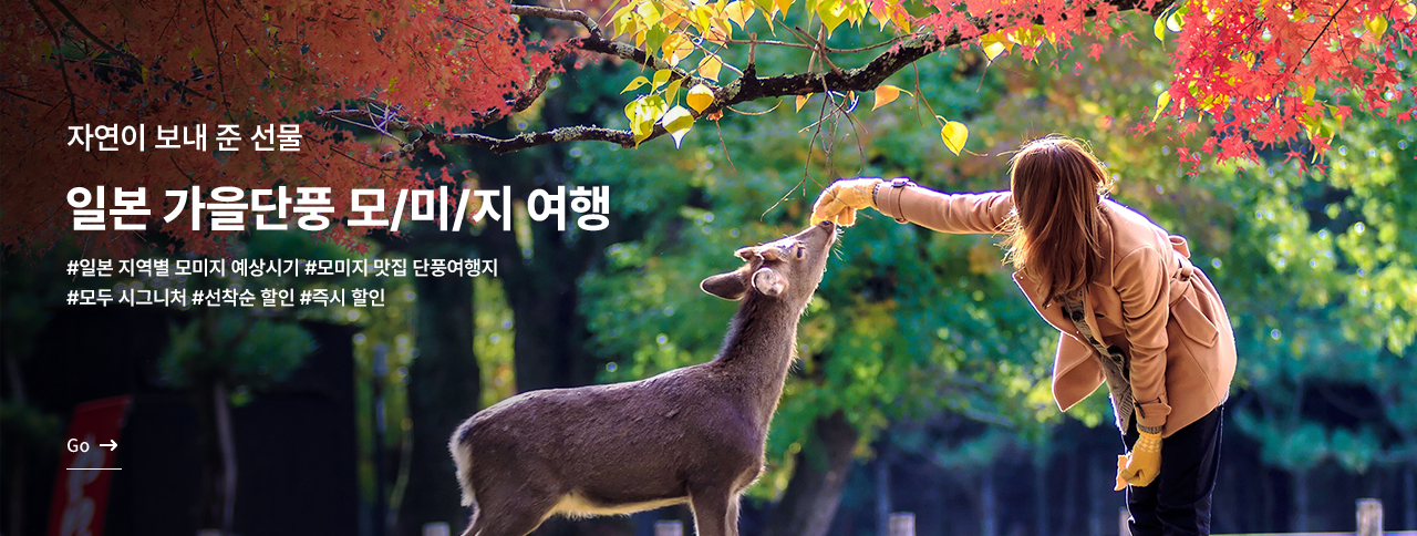 일본 가을 단풍 모미지 여행