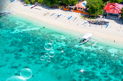 [한진관광] 에어부산 보홀 기획전