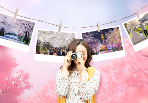 [하나비즈웰] 4월 벚꽃구경 콘테스트